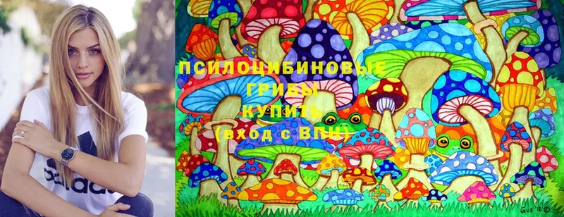 продажа наркотиков  Аша  Псилоцибиновые грибы Magic Shrooms 